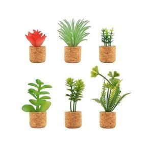 6 Pcs Cactus Refrigerator Magnets Mini Succulent Plant Frid