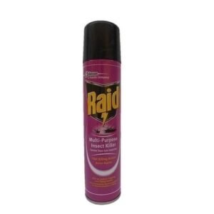Raid Multi-purpose Insect Killer Insecticide 300ml