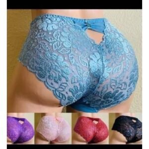 Ladies And Women Panties 4 In 1