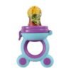 Baby Fruit Feeder Pacifier