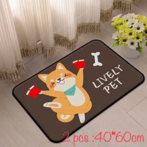 2 Pcs Of Anti-Slip Entry Door Mat