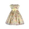 Baby Girl  Organza Pary Dress