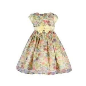 Baby Girl  Organza Pary Dress