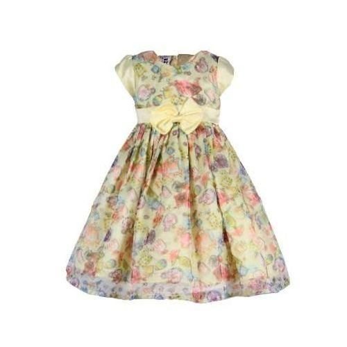Baby Girl Organza Pary Dress