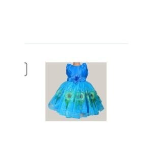 Baby Girl   Organza  Dress