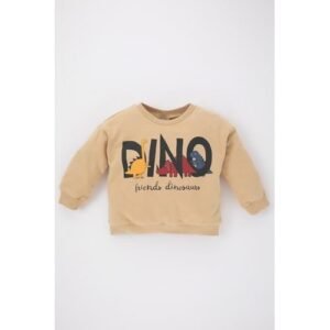 Defacto BabyBoy Casual Regular Fit Bike Neck Long Sleeve Knitted Sweat Shirt - Beige