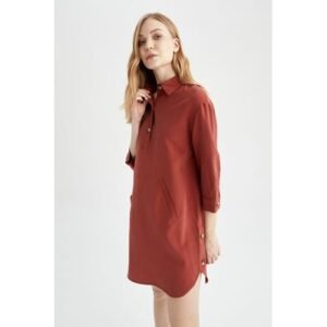 Defacto Woman Casual A Line Shirt Neck Long Sleeve Woven Dress - Brown