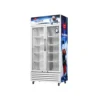 Polystar Double Door Showcase Fridge | PV-SC695DDL