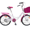Pink City Bicycle