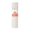 ENCH POWDER STUNNING 50G ( 6X12)