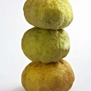 Lemon x12