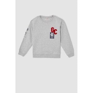 Defacto Girl Knitted Regular Fit Crew Neck Sweat Shirt - Grey