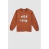 Defacto Girl - Regular Fit C Neck Long Sleeve Knitted Sweat Shirt - Brown