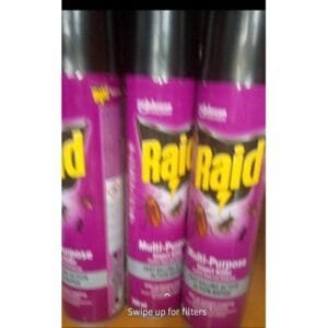Raid Multi-Purpose Insect Killer Insecticide - 300ml X3