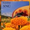 SNC Neuron Care Restore Vision Cognitive 15 Sachets
