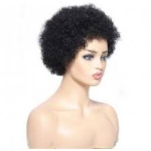 Hair Wig Afro Hair Wig For Ladies - Black