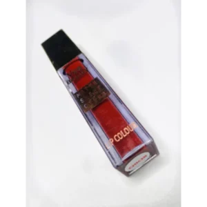 Lady Vee Beauty Matte Lip Cream| chichi