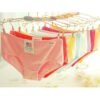 6 Pcs/lot Women's Cotton Panties(M/L Hips