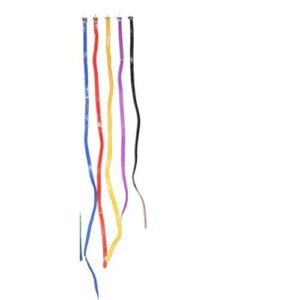 5pcs Ladies Multi Colour Slim Waist Belts