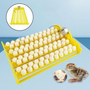 Mini Incubator 88 Eggs Poultry With Motor Brooder DC 12V
