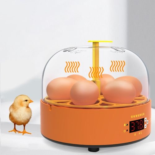 Eggs Incubator Automatic Turning Hatching Machine