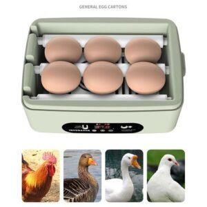 Mini Egg Incubator Egg Turner Tray Digital Hatcher Machine