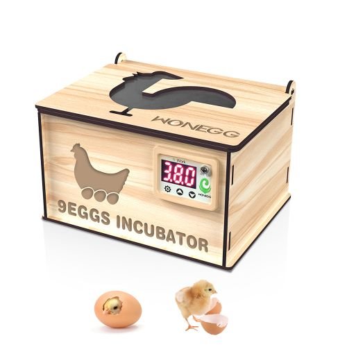 Incubators For Hatching Eggs DIY Wooden 9 Egg Incubator