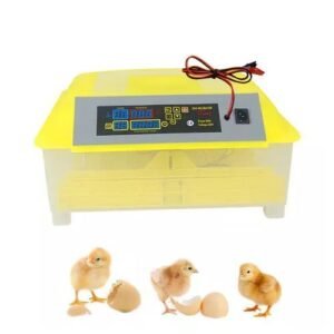 Hhd 56 Eggs Automatic Incubator- 12V / 220V