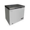Bruhm Chest Freezer BCS-160MR SILVER