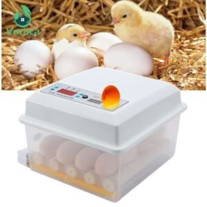 Poultry Incubator, 16 Egg Incubator, Poultry Brooder Machine