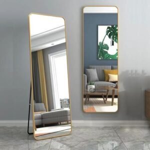 Elegant Standing / Wall Dressing Mirror