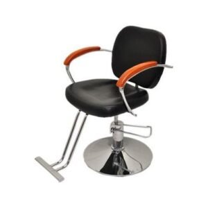Salon Barber Chair