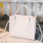 Ladies Mini Hand Bag Women Portable Shoulder Messenger Bag White