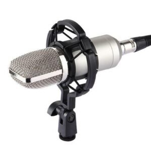 Professional Condenser Sound Recording Microphone With Shock Mount For Studio Radio Broadcasting & Live Boardcast, 3.5mm Earphone Port, Cable Length: 2.5m(Silver)