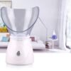 Face Steamer Pores Steam Sprayer Warm Mist White