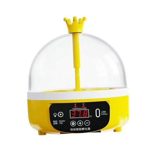 Egg Incubator Poultry Hatcher Machine Usb 4 Eggs Hatching Portable Digital Poultry Egg Hatcher For Quail Pigeon Chicken Supplies