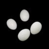 Plastic Pigeon Egg Solid Pigeon Egg Pigeon Hatching Supplies Pigeon Quail Egg Aviculture Tools Nest Hatching Eggs