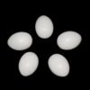 10 Pcs Plastic Lifelike Simulation Bird Eggs Pigeon Quail Egg Aviculture Tools Nest Hatching Eggs