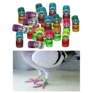 Dove Leg Bands Mix