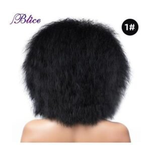 Blice Synthetic Wig Afro Kinky Curly Short Wigs For Women Machine Made Natural Style Daily Hair With The Breathable Net Inside
