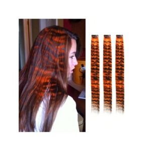 3pcs/Set Long Straight Clip-In Synthetic Hair Extensions Wig, Includes Colorful Zebra Stripe And