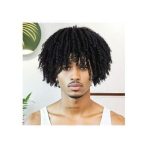 Half Wigs For Men Synthetic Hair Afro Curly Hairstyles Ombre Wig With Bangs Short Braided Wig Crochet Twist Hair Dreadlock Wigs