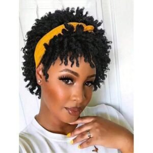 Dreadlock And Men Afro Faux Locs Dreads Wig Heat Resistant Short Braided Wigs For Women