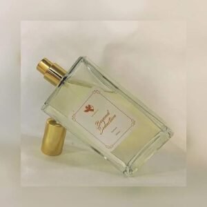 Beyond Seduction Ladies EDP 100ml