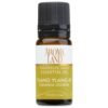 Aromaland Ylang Ylang #3 Essential Oil 10ml