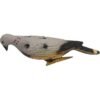 Target 3D Animal Pigeon Decoy Animal Target for Outdoor Hunting, Indoor Courtyard Decoration 6pcs