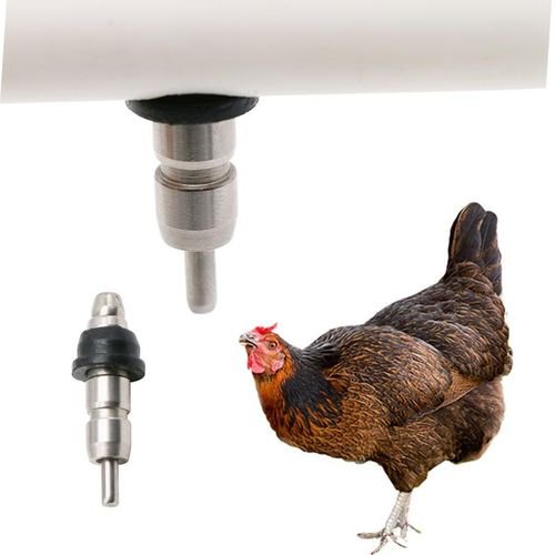 5 Pcs Chicken Drinking Water Nipples Stainless Steel Fountain Rabbit Duck Quail Pigeon Poultry Farming Drinking Water Equip