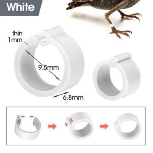 50-1000pcs 8mm Poultry Clasp Foot Ring Without Letter Clip Pigeon Foot Ring Breeding Special Chicken Duck Goose Identification
