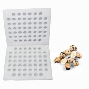 Egg Quail Eggs Tray Storage Holder Box Container Cartons Refrigerator Boxes Fridge Trays Carrier Pheasant Pigeon Carton Flats