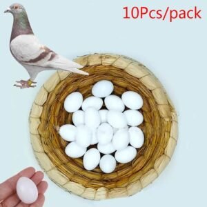 10pcs/lot Eggs Plastic Pigeon Egg Solid Pigeon Egg Pigeon Hatching Supplies